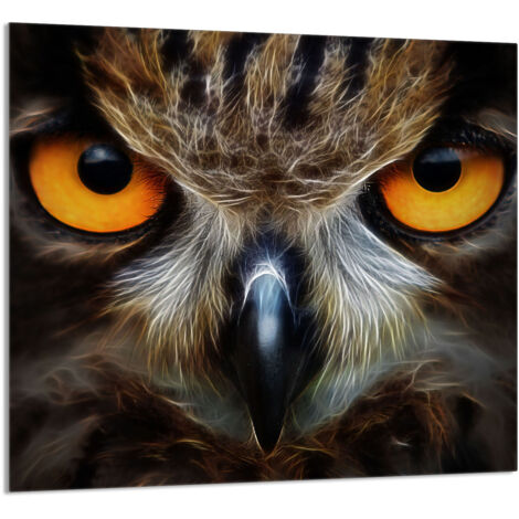 GLASPLATTE FÜR KÜCHE 65x60 Eule