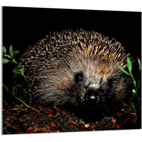 GLASPLATTE FÜR KÜCHE 65x60 Igel