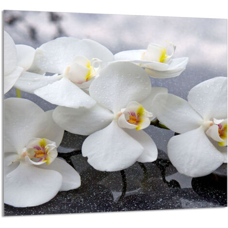 GLASPLATTE FÜR KÜCHE 65x60 Orchidee