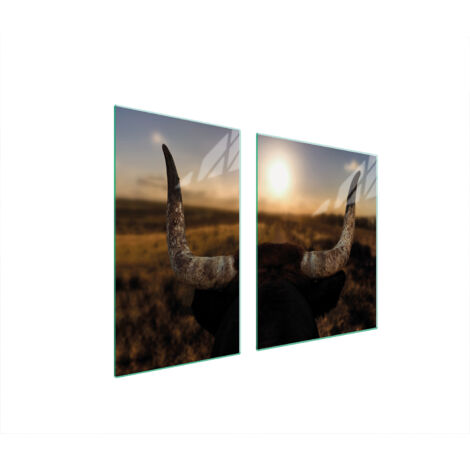 Glasplatte und Schneidebrett 100x52 SUN