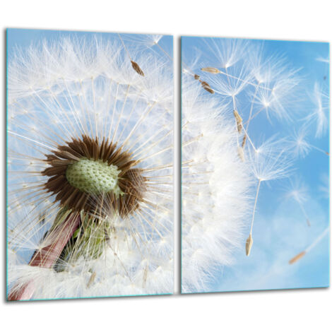Glasscheidebrett 2x 30x52 Blume