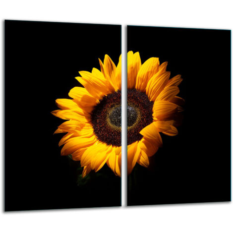 Glasscheidebrett 2x 30x52 Blume