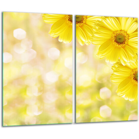Glasscheidebrett 2x 30x52 Blumen