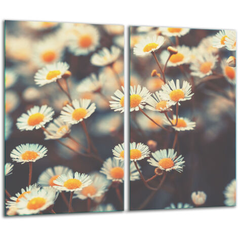 Glasscheidebrett 2x 30x52 Blumen