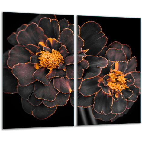 Glasscheidebrett 2x 30x52 Blumen