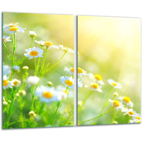 Glasscheidebrett 2x 30x52 Blumen