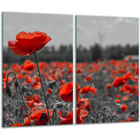 Glasscheidebrett 2x 30x52 Blumen