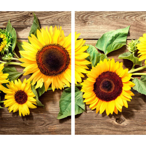 Glasscheidebrett 2x 30x52 Blumen