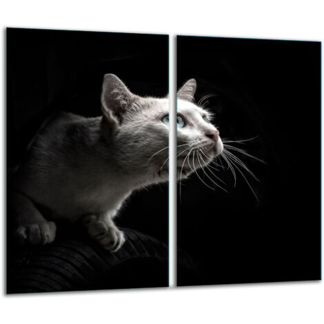 Glasscheidebrett 2x 30x52 Katze