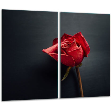 GlasscheideBrett 2x 30x52 Rose