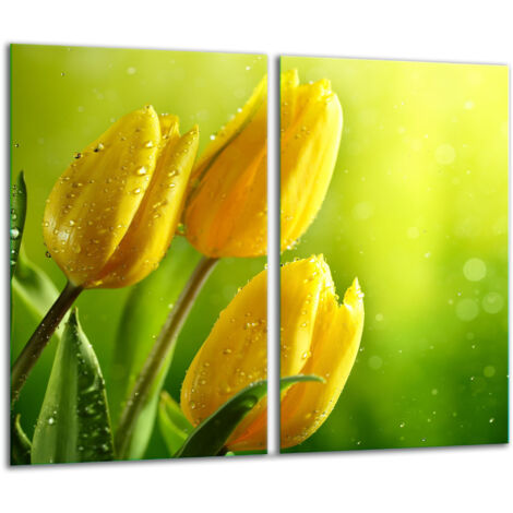 Glasscheidebrett 2x 30x52 Tulpe