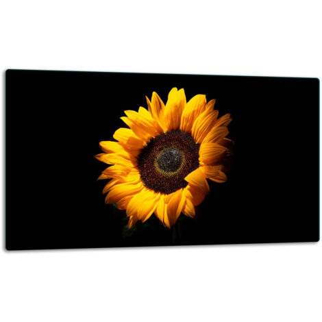Glasschild Schneidebrett 52x30 Blume