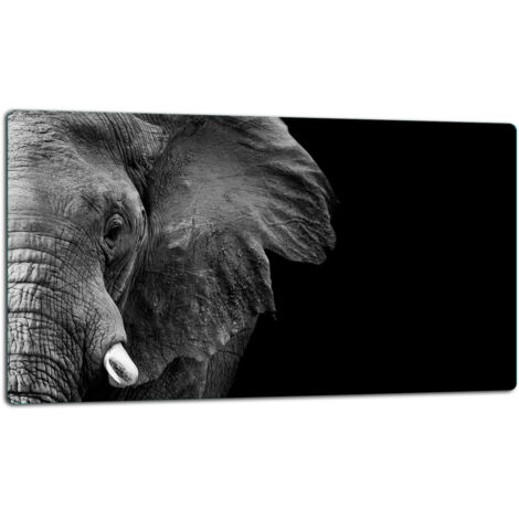 Glasschild Schneidebrett 52x30 Elefant