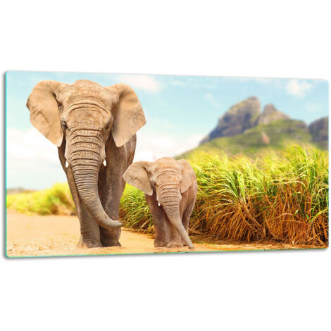 Glasschild Schneidebrett 52x30 Elefant