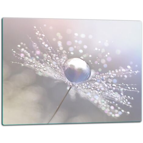 Glasschild Schneidebrett 52x40 Blume