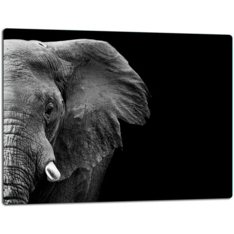 Glasschild Schneidebrett 52x40 Elefant