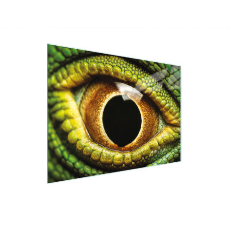 Glasschneidebrett 30x22 Auge