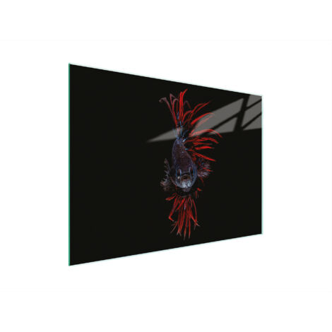 Glasschneidebrett 30x22 Fisch