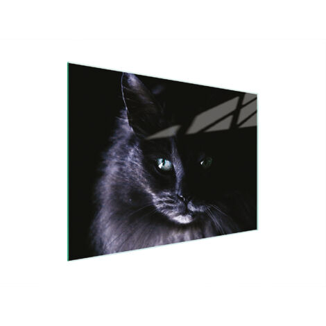 Glasschneidebrett 30x22 Katze