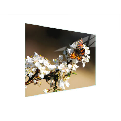 Glasschneidebrett 30x22 Pflaume