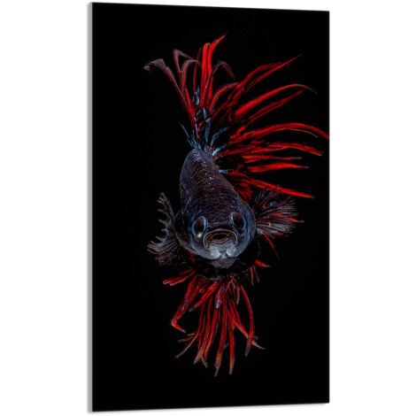 Glasschneidebrett 30x52 Fisch
