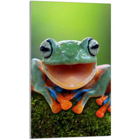Glasschneidebrett 30x52 Frosch