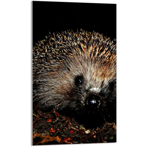 Glasschneidebrett 30x52 Igel
