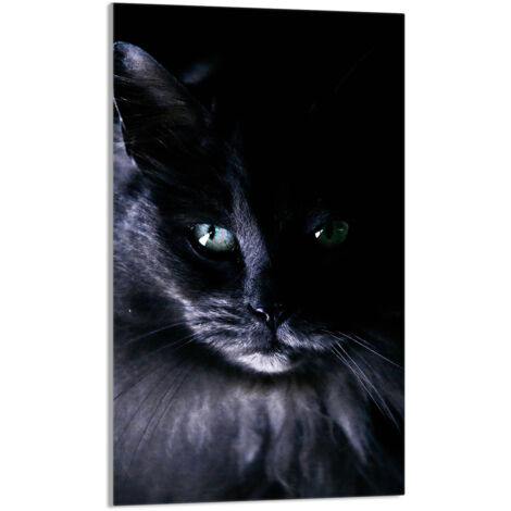 Glasschneidebrett 30x52 Katze