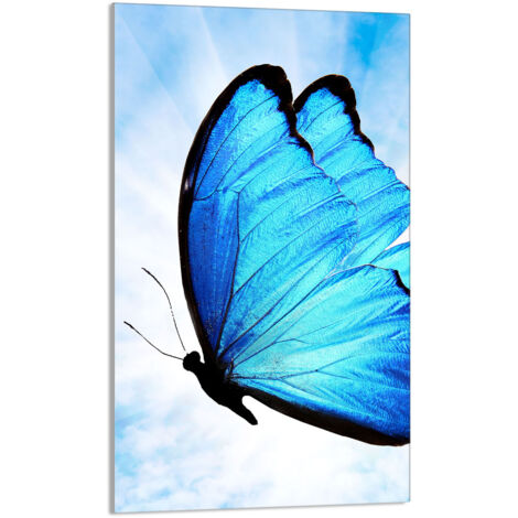 Glasschneidebrett 30x52 Schmetterling