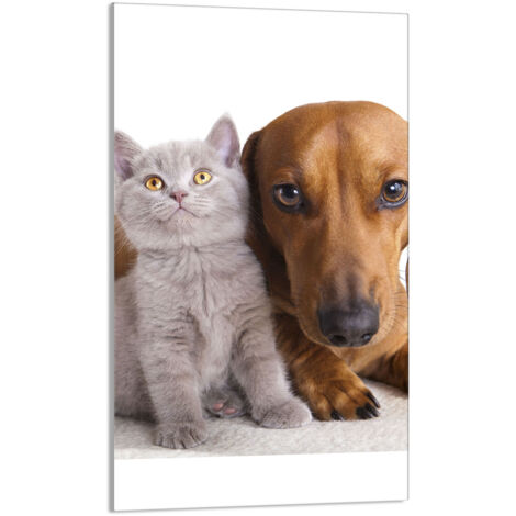 Glasschneidebrett 30x52 Tiere