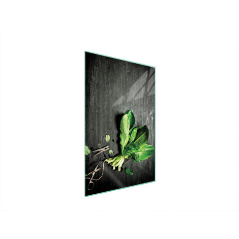 Glasschneidebrett 35x52 Basilikum