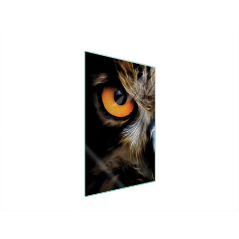Glasschneidebrett 35x52 EULE