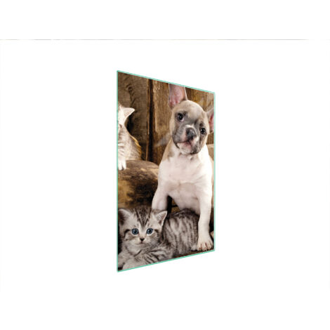 Glasschneidebrett 35x52 Hund