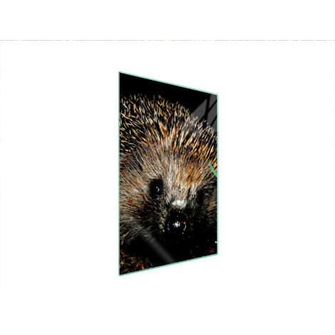 Glasschneidebrett 35x52 Igel