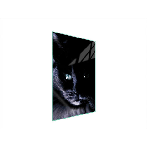Glasschneidebrett 35x52 Katze