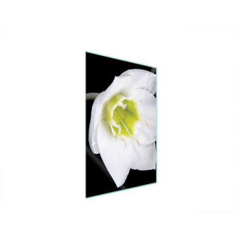 Glasschneidebrett 35x52 Orchidee