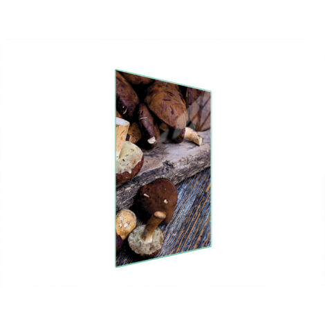 Glasschneidebrett 35x52 Pilze