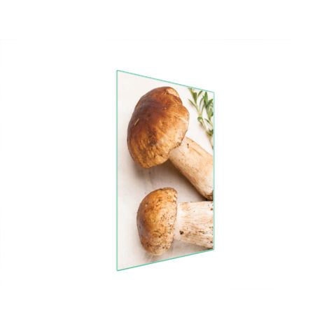 Glasschneidebrett 35x52 Pilze