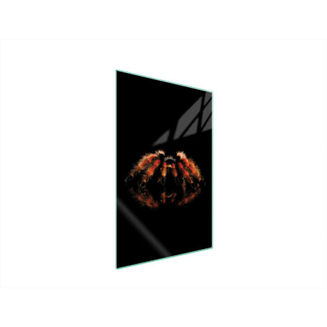 Glasschneidebrett 35x52 Spider