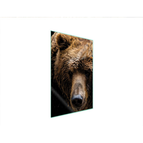 Glasschneidebrett 35x52 Teddybär
