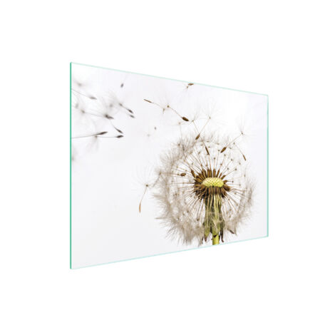 Glasschneidebrett 40x30 Blume