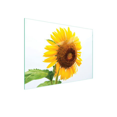 Glasschneidebrett 40x30 Blume