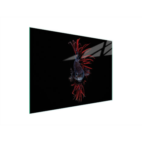 Glasschneidebrett 40x30 Fisch