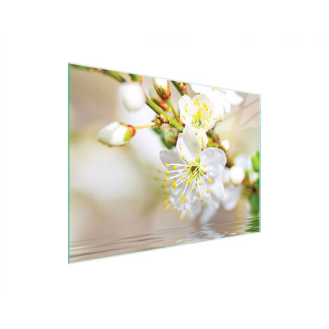 Glasschneidebrett 40x30 Pflaume