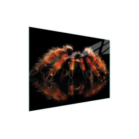 Glasschneidebrett 40x30 Spider