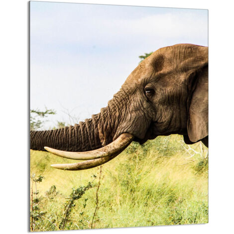 Glasschneidebrett 40x52 Elefant
