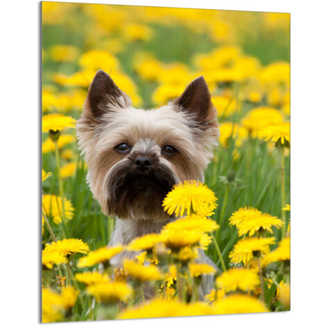 Glasschneidebrett 40x52 Hund
