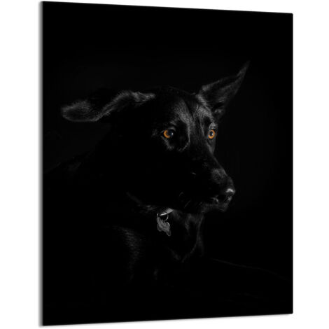 Glasschneidebrett 40x52 Hund