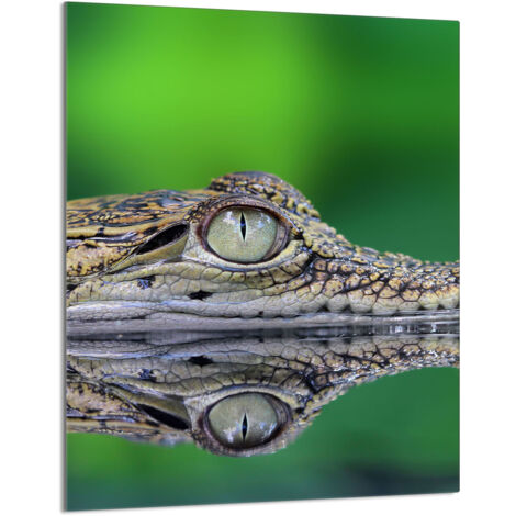 Glasschneidebrett 40x52 Krokodil