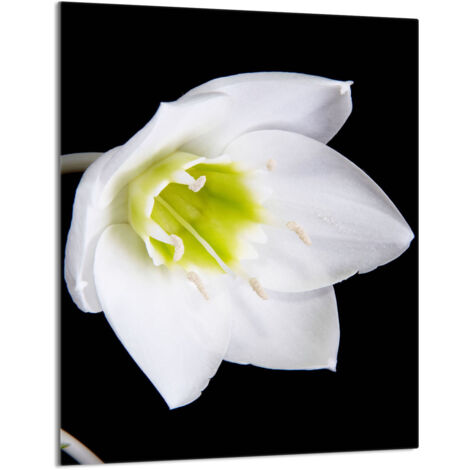 Glasschneidebrett 40x52 Orchidee